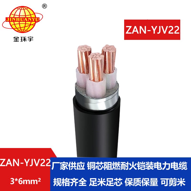 金環(huán)宇 a級(jí)阻燃耐火電纜ZAN-YJV22-3*6平方y(tǒng)jv22鎧裝電