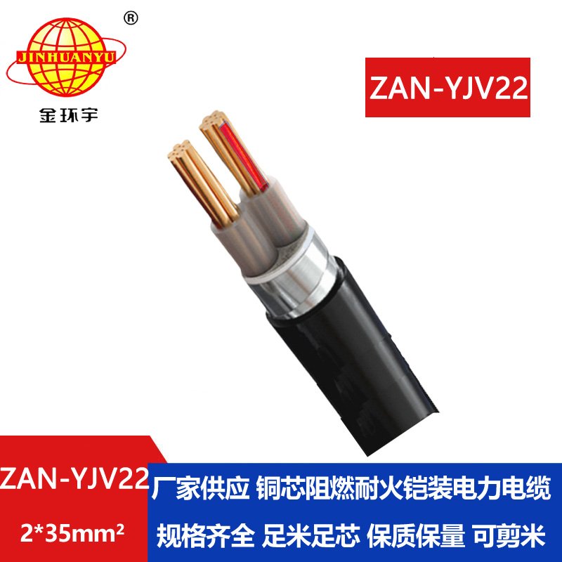 金環(huán)宇電線(xiàn)電纜 中低壓鎧裝電纜ZAN-YJV22-2X35平方